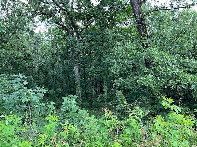 204 Vista Del Lago Trl LOT 39 Broken Bow, OK 74728 - Thumbnail 3