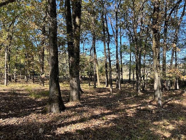 197 Deer Valley Cir LOT 7 Broken Bow, OK 74728 - Thumbnail 3