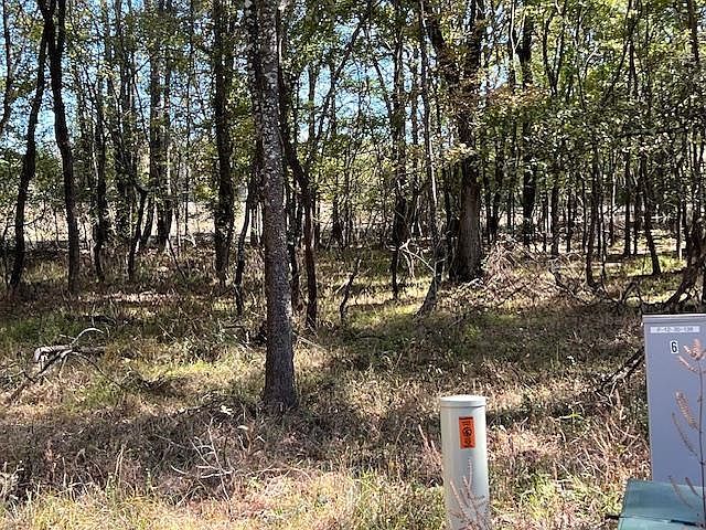196 Deer Valley Cir LOT 6 Broken Bow, OK 74728 - Thumbnail 3