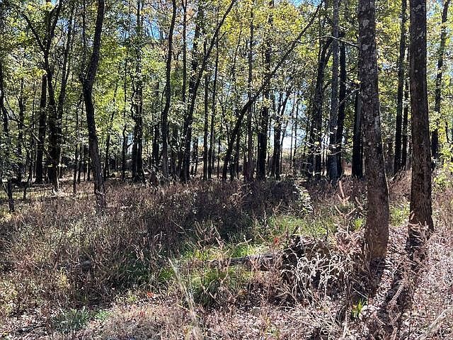 176 Deer Valley Cir #5 Broken Bow, OK 74728 - Thumbnail 3