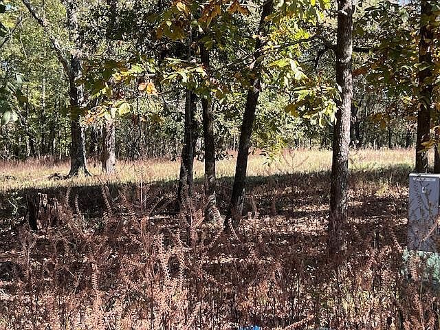 136 Deer Valley Cir LOT 4 Broken Bow, OK 74728 - Thumbnail 3