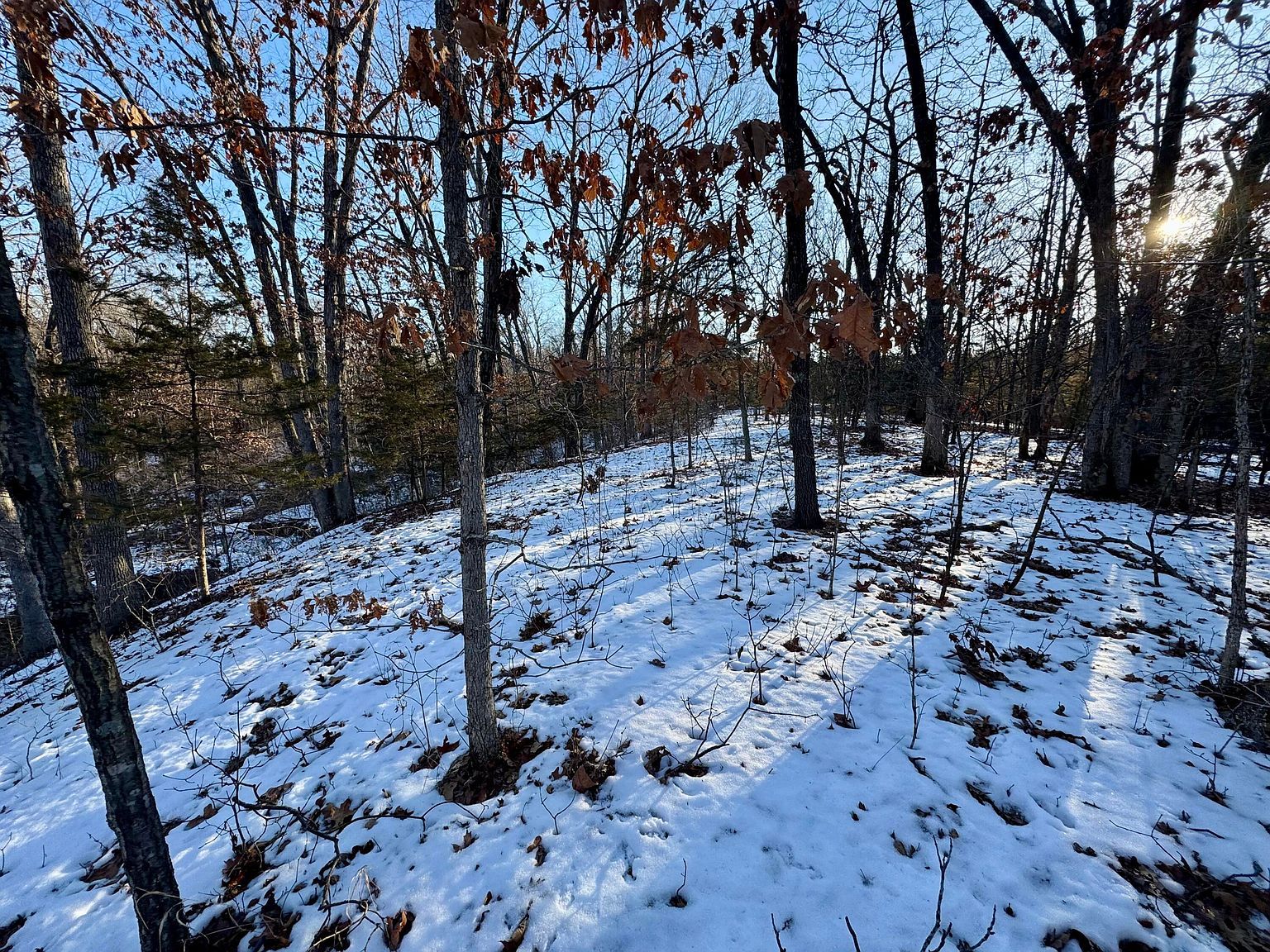 TRACT 3 E Mount Zion Church Rd Hallsville, MO 65255 - Thumbnail 3