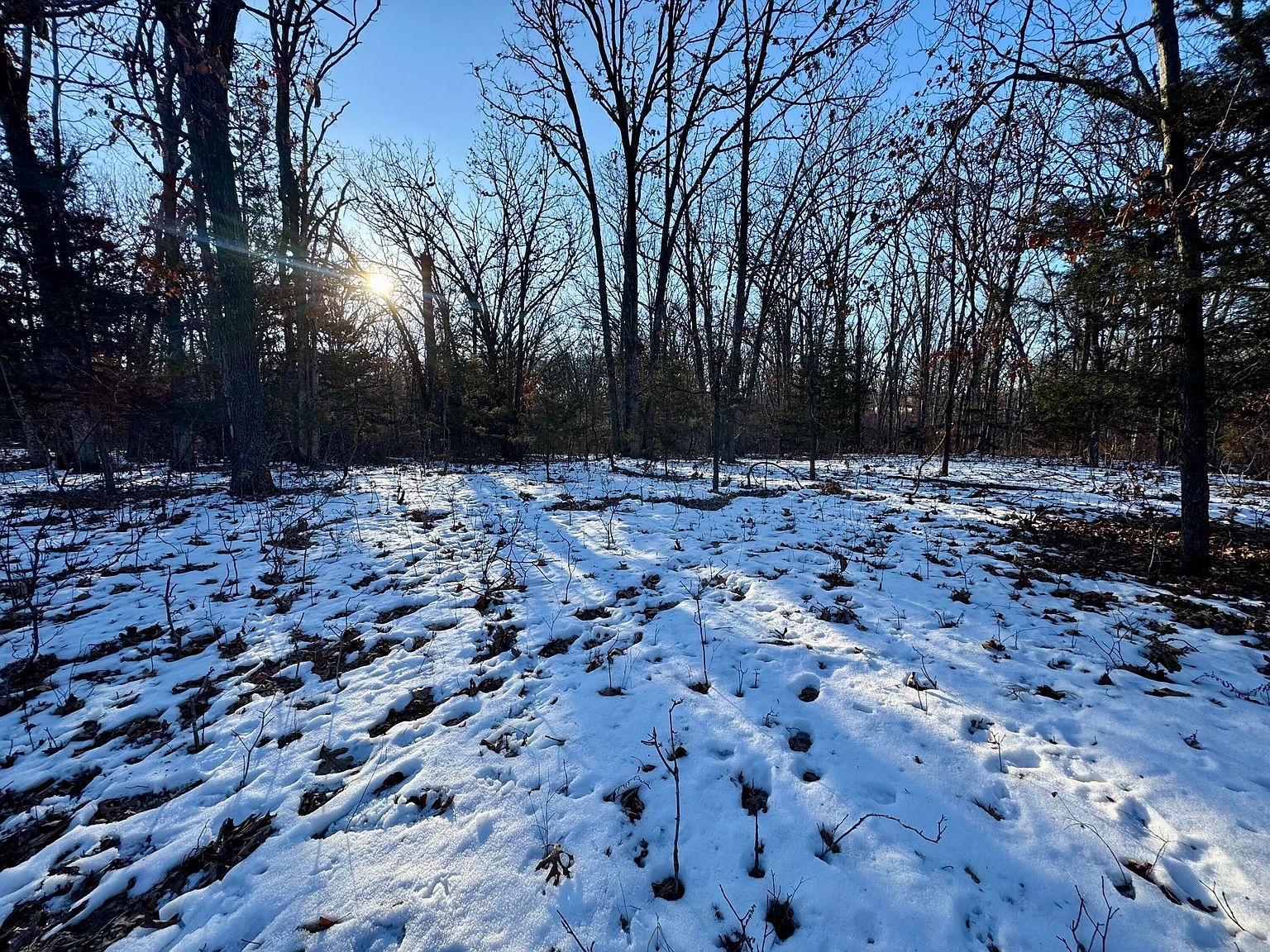 TRACT 2 E Mount Zion Church Rd Hallsville, MO 65255 - Thumbnail 3