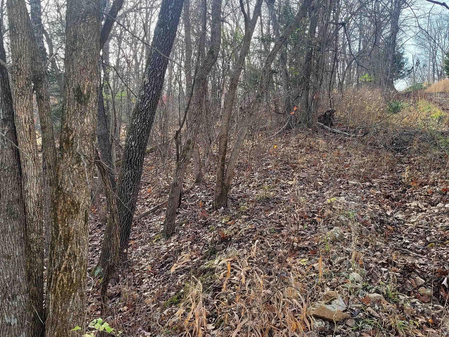 L-45 Stag Dr Edwards, MO 65326 - Thumbnail 3