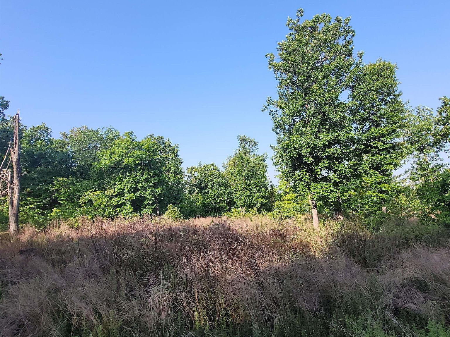 LOT 4 Wendys Ln Lincoln, MO 65338 - Thumbnail 3