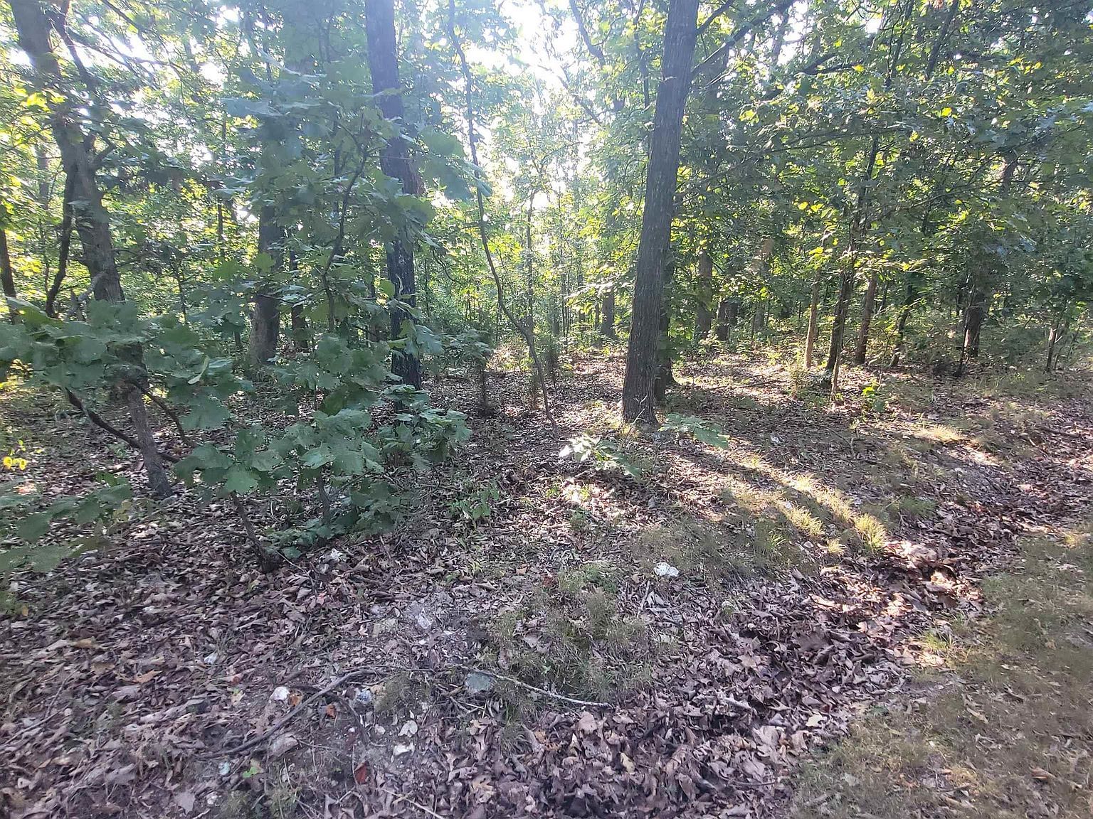 LOT 2186 Schwab Pl Edwards, MO 65326 - Thumbnail 3