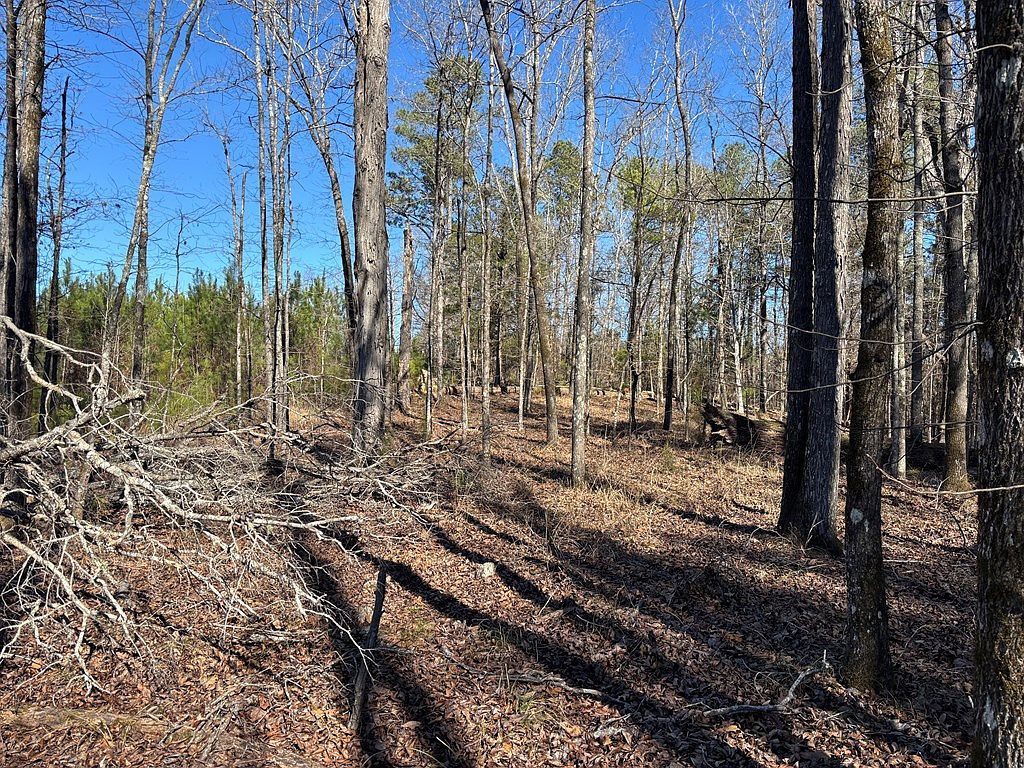 0 Carl Mathis Rd Talbotton, GA 31827 - Thumbnail 3