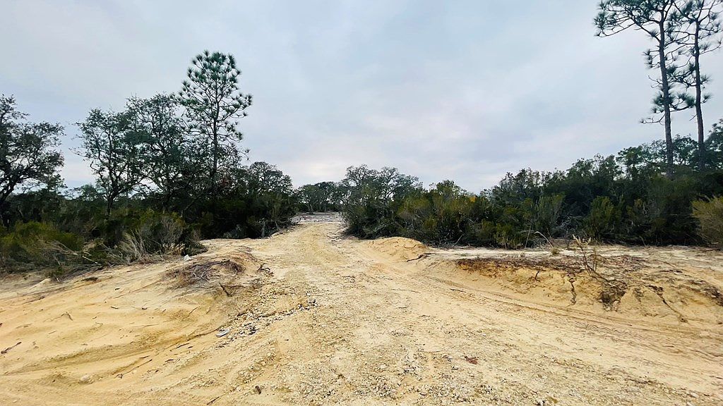 LOT 32 NE 100th Ave Bronson, FL 32621 - Thumbnail 3