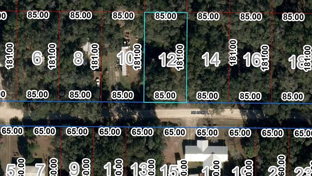 10267 NE 69th Pl Bronson, FL 32621  | Land/Lot