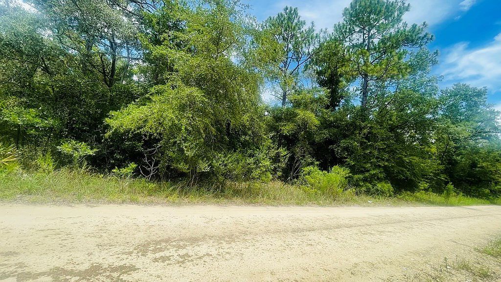 LOT 487 NE 102nd Ct LOT 487, Bronson, FL, 32621 - Thumbnail 3