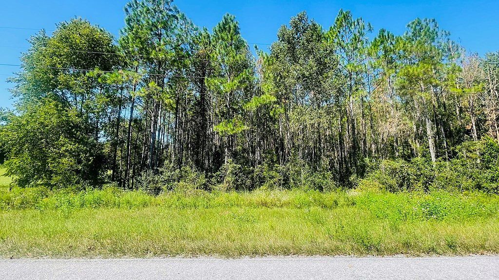 T/b/d Northwest Ave #50 Trenton, FL 32693 - Thumbnail 3