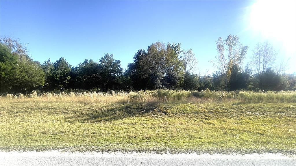 LOT 46 NW 73rd St LOT 46 Chiefland, FL 32626 - Thumbnail 3
