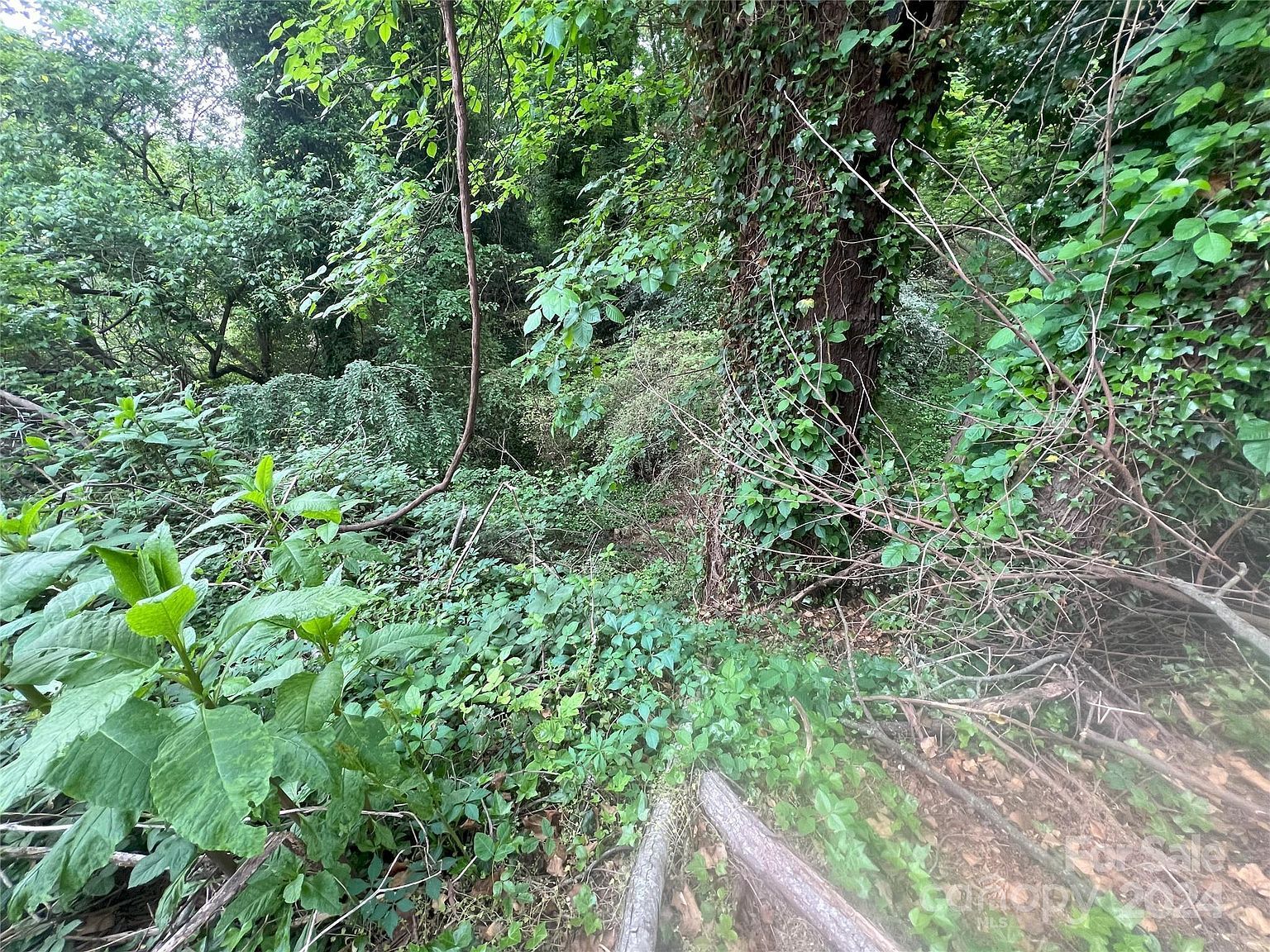 166 Elm St Mooresville, NC 28115 - Thumbnail 3