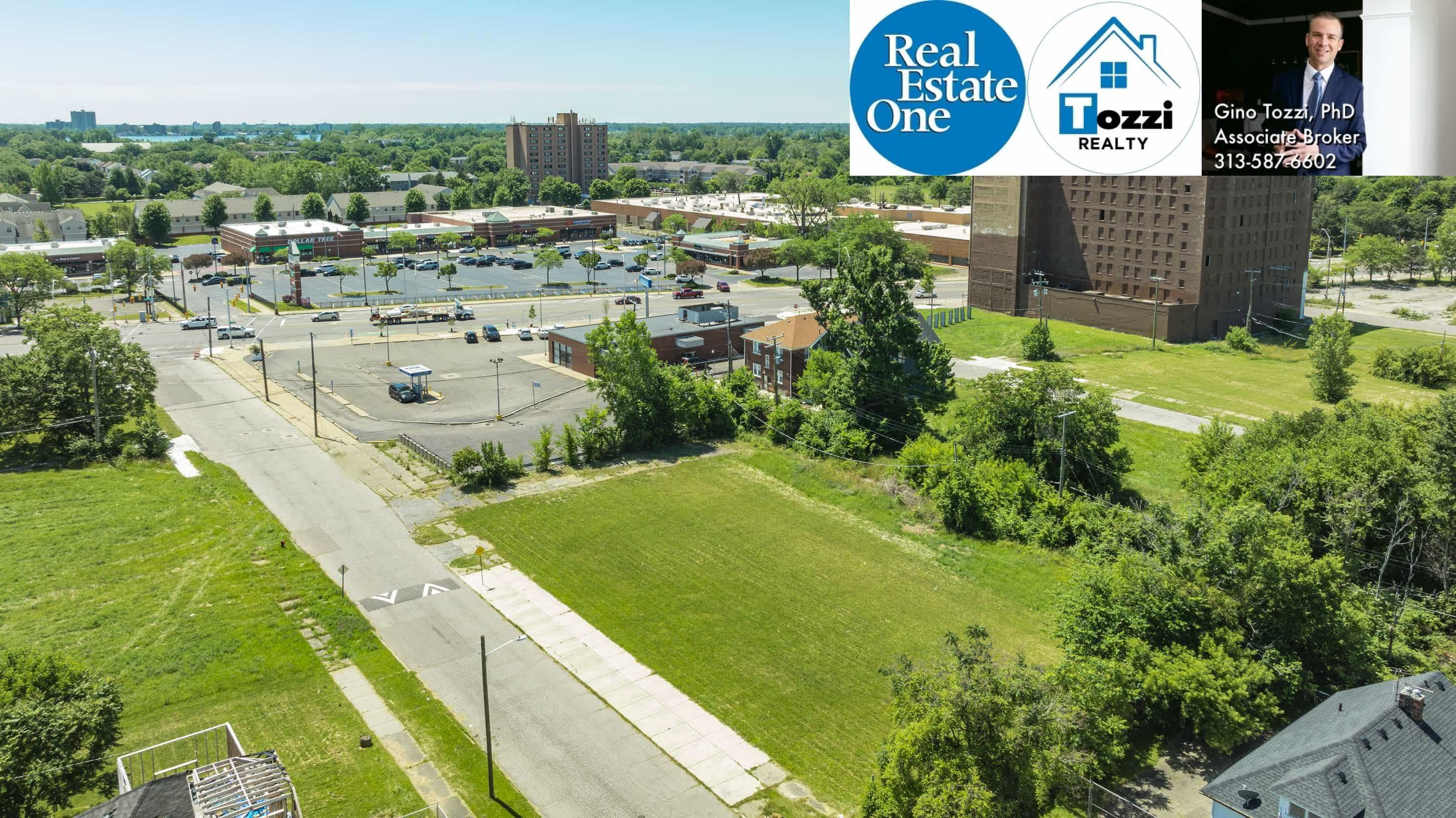 1075 Coplin Street, Detroit, MI, USA, 48215 - Thumbnail 4