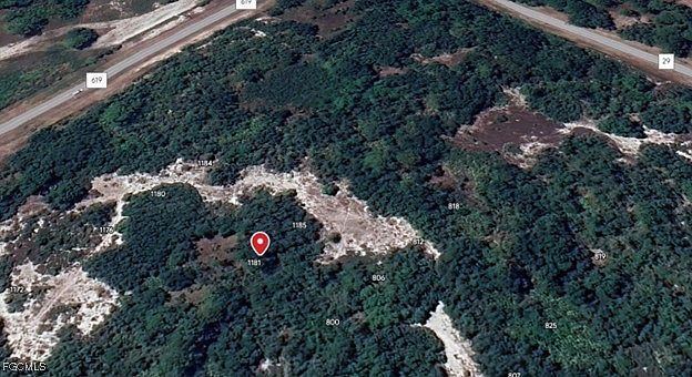 1181 Ebbtide Ave Lake Placid, FL 33852  | Land/Lot
