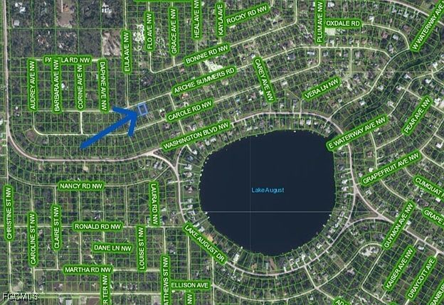 978 Archie Summers Rd Lake Placid, FL 33852 - Thumbnail 3