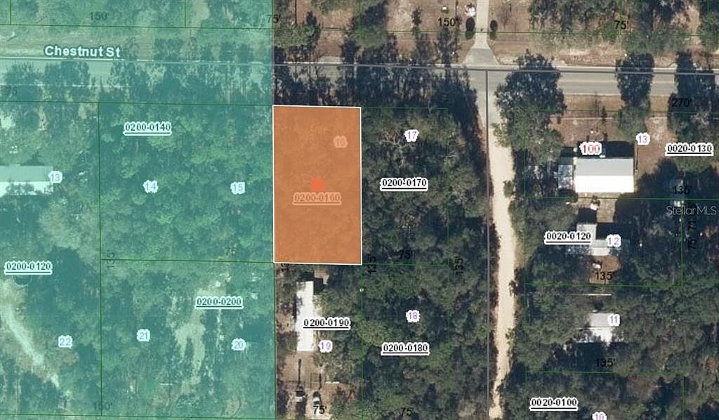 113 Chestnut St Interlachen, FL 32148 - Thumbnail 3