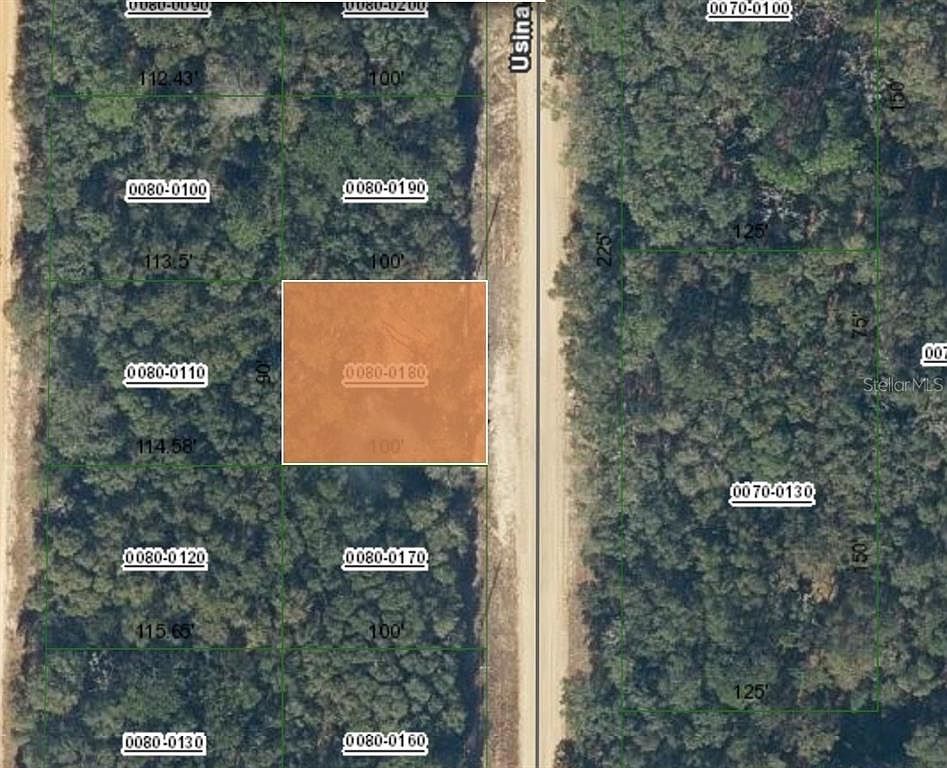 1107 Usina Ave LOT 18 Interlachen, FL 32148 - Thumbnail 3