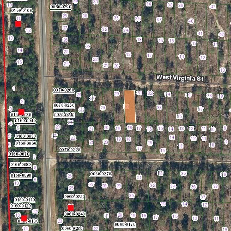 127 W Virginia St #31 Hawthorne, FL 32640 - Thumbnail 3