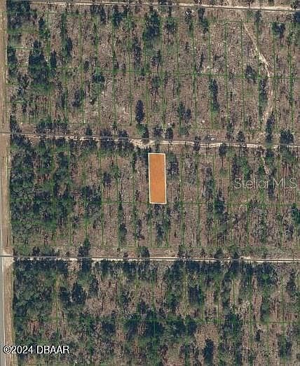 123 W Virginia St Hawthorne, FL 32640 - Thumbnail 3