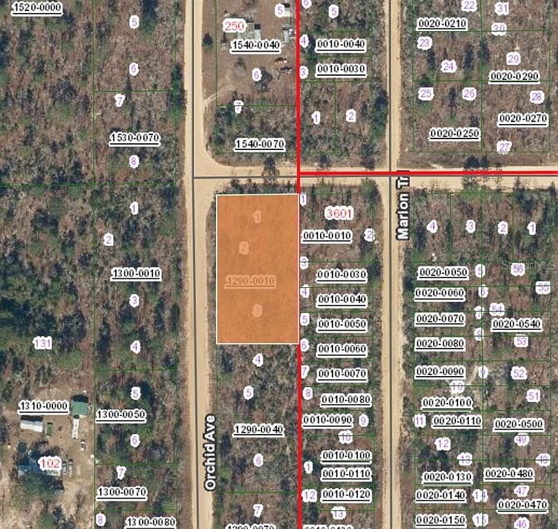 Xx Orchid Ave Interlachen, FL 32148 - Thumbnail 3