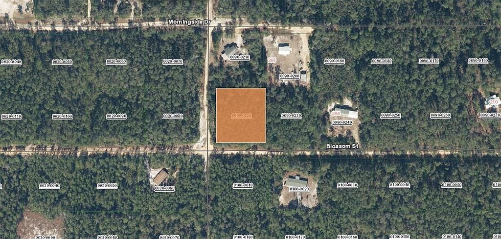 Xx Blossom Lot 22 Florahome, FL 32140 - Thumbnail 3