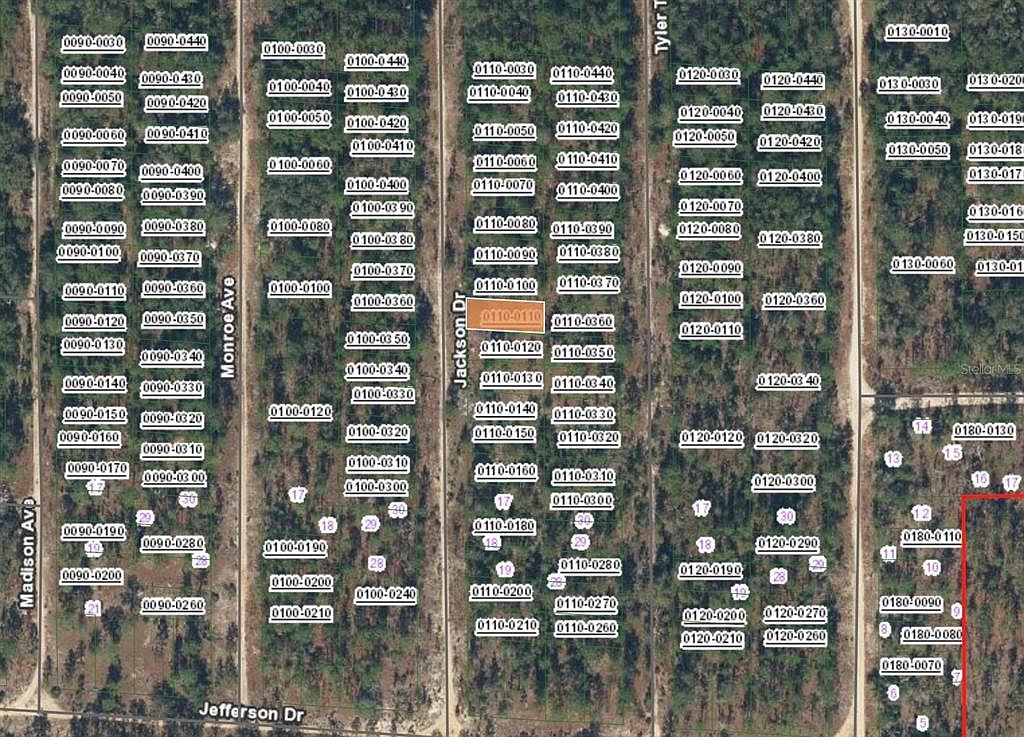 Xx Jackson Dr Lot 11 Hawthorne, FL 32640 - Thumbnail 3