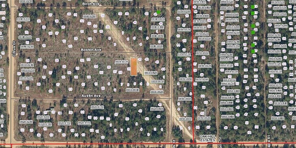 Xx Boston Ave Lot 40 Interlachen, FL 32148 - Thumbnail 3