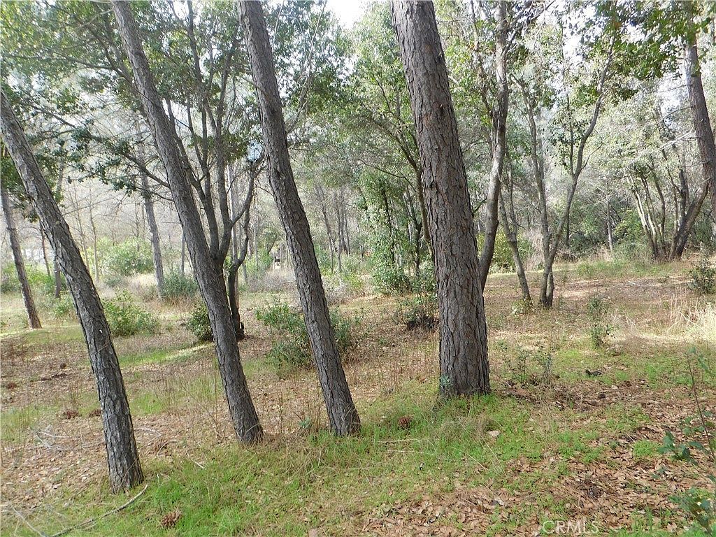 5834 Spruce Ave #25 Clearlake, CA 95422 - Thumbnail 3