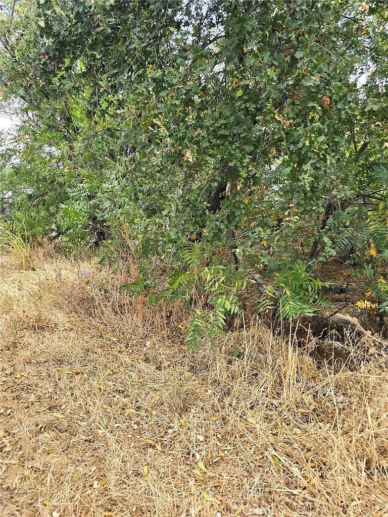 1466 Hammonton Smartsville Rd Marysville, CA 95901 - Thumbnail 3