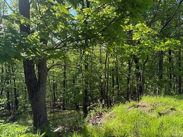 27 Council Crest Rd Sloatsburg, NY 10974 - Thumbnail 3