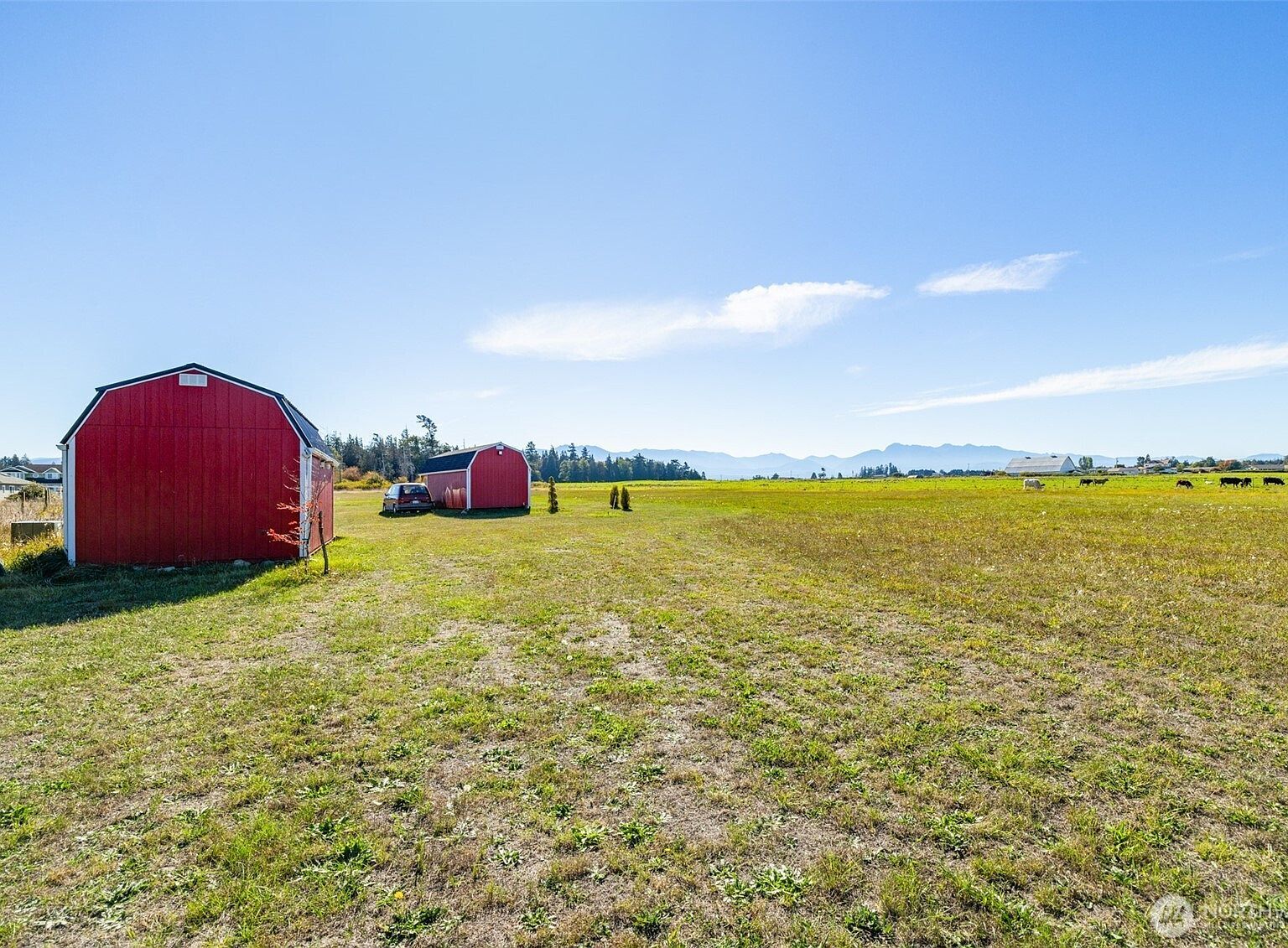 982 E Anderson Rd Sequim, WA 98382 - Thumbnail 3