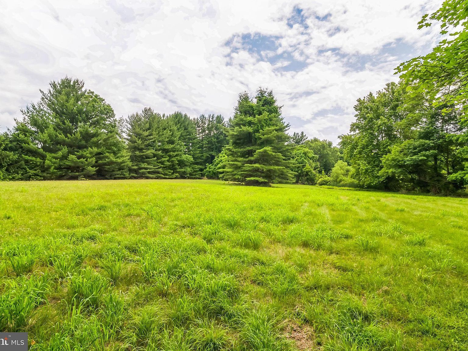 1155 Mount Eyre Rd Washington Crossing, PA 18977 - Thumbnail 3