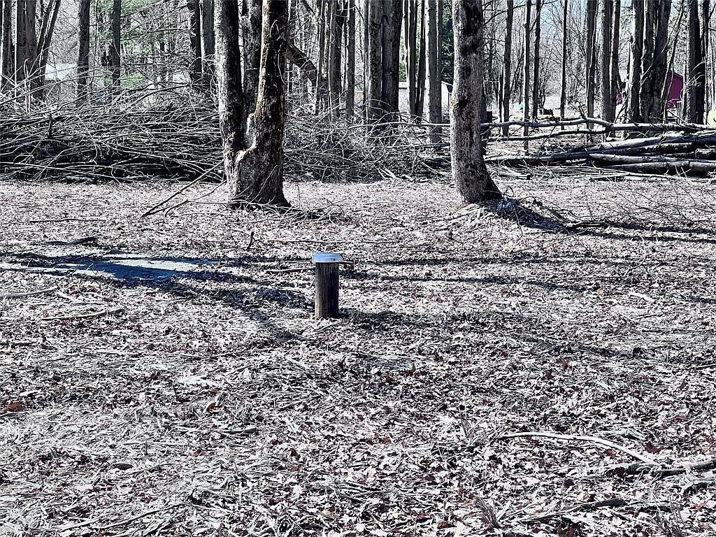 2369 Leach Rd Linesville, PA 16424 - Thumbnail 3