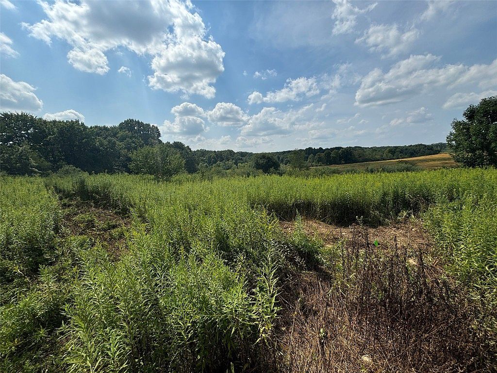 0 Inlet Rd Conneautville, PA 16406 - Thumbnail 3