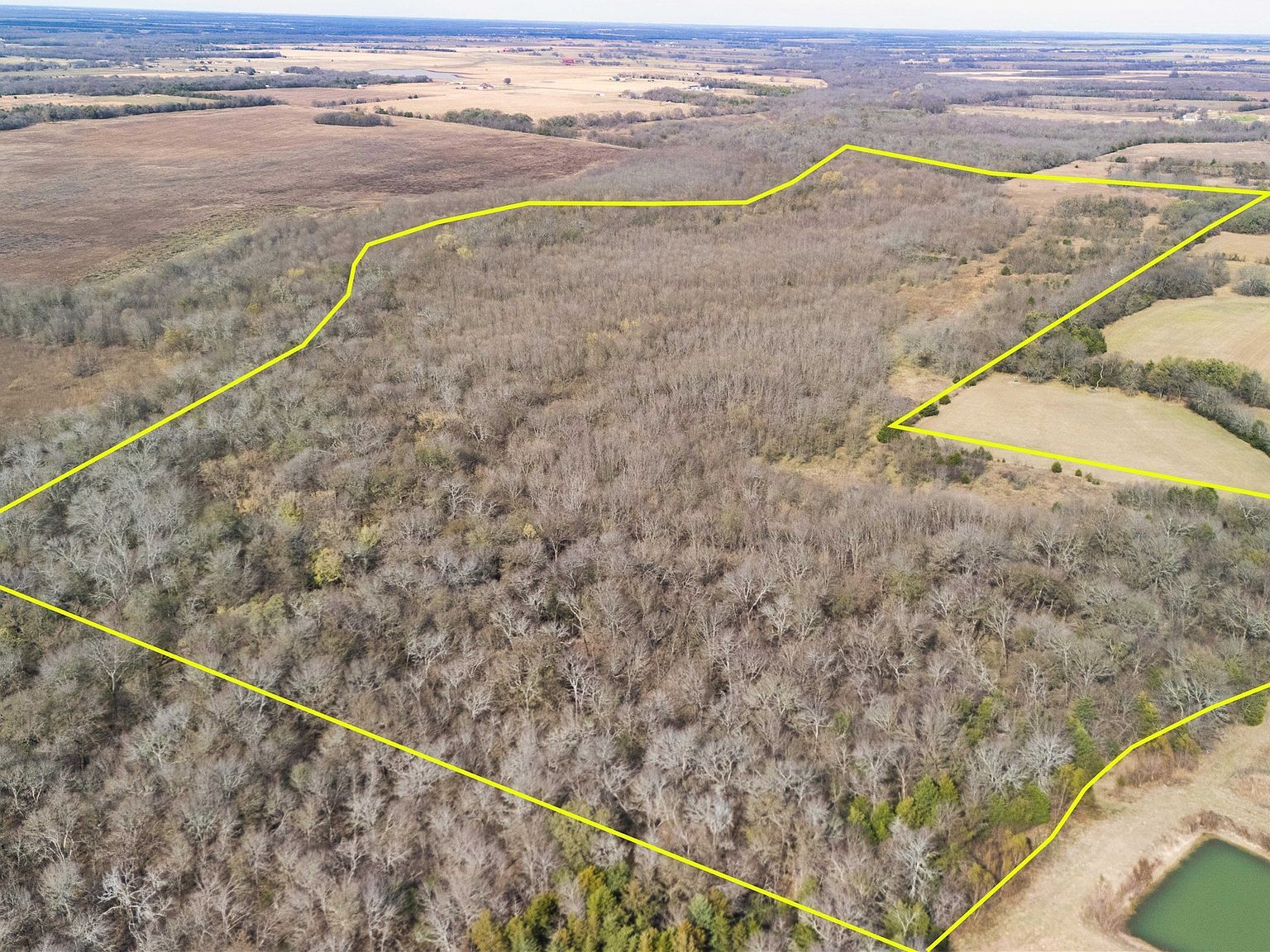 TRACT 9 County Road 2158 Cooper, TX 75432 - Thumbnail 3