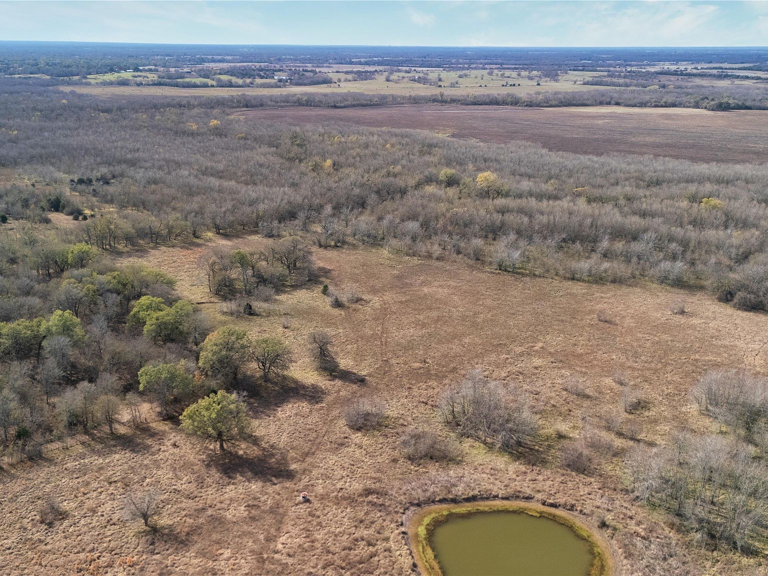 TRACT 8 County Road 2158 Cooper, TX 75432 - Thumbnail 3
