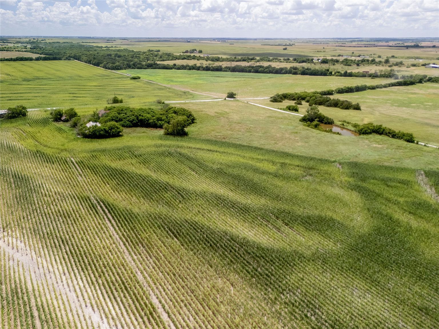 | Tract County Rd #2-3307 Hubbard, TX 76648 - Thumbnail 3