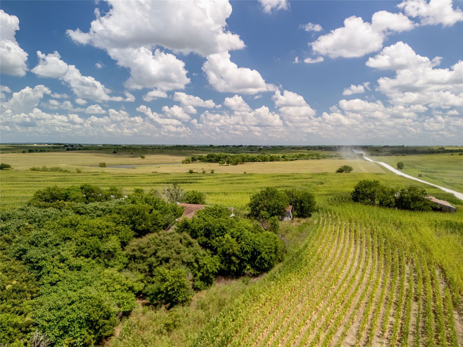 | Tract County Rd #3-3307 Hubbard, TX 76648 - Thumbnail 3