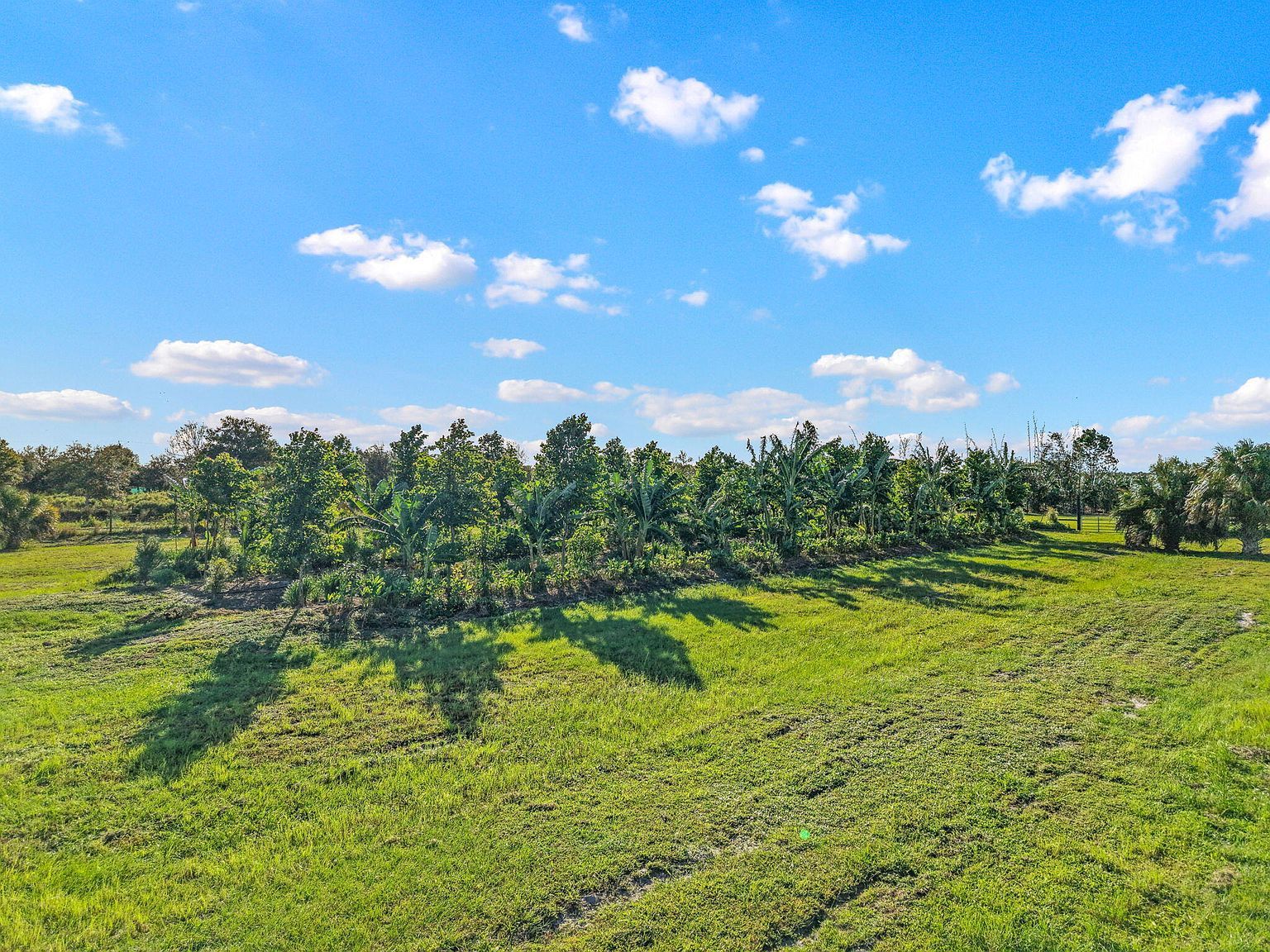 20915 Antoinette St Loxahatchee, FL 33470 - Thumbnail 3