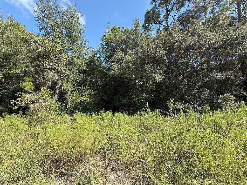 SW 40th St Lot 11 Dunnellon, FL 34432 - Thumbnail 3