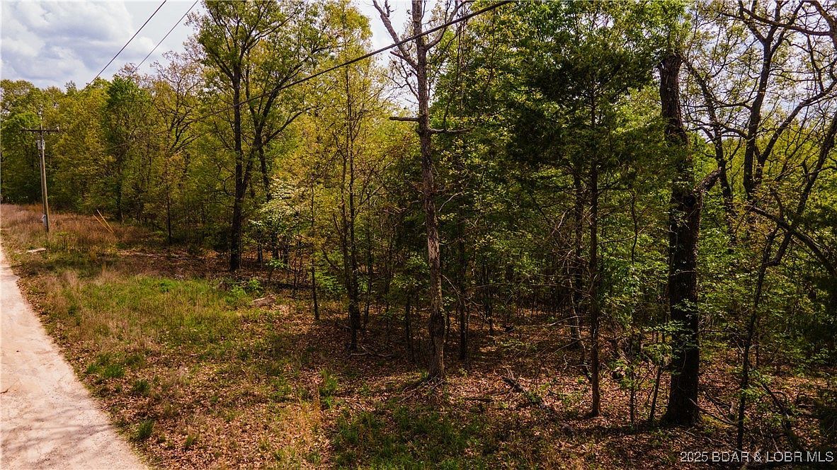 489 Chalk Hollow Point Sunrise Beach, MO 65079 - Thumbnail 3