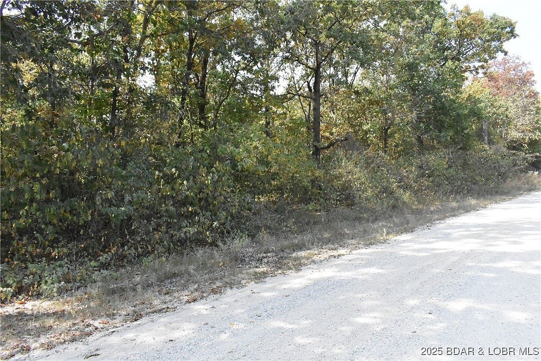 Tbd Stoney Oak Dr Gravois Mills, MO 65037 - Thumbnail 3
