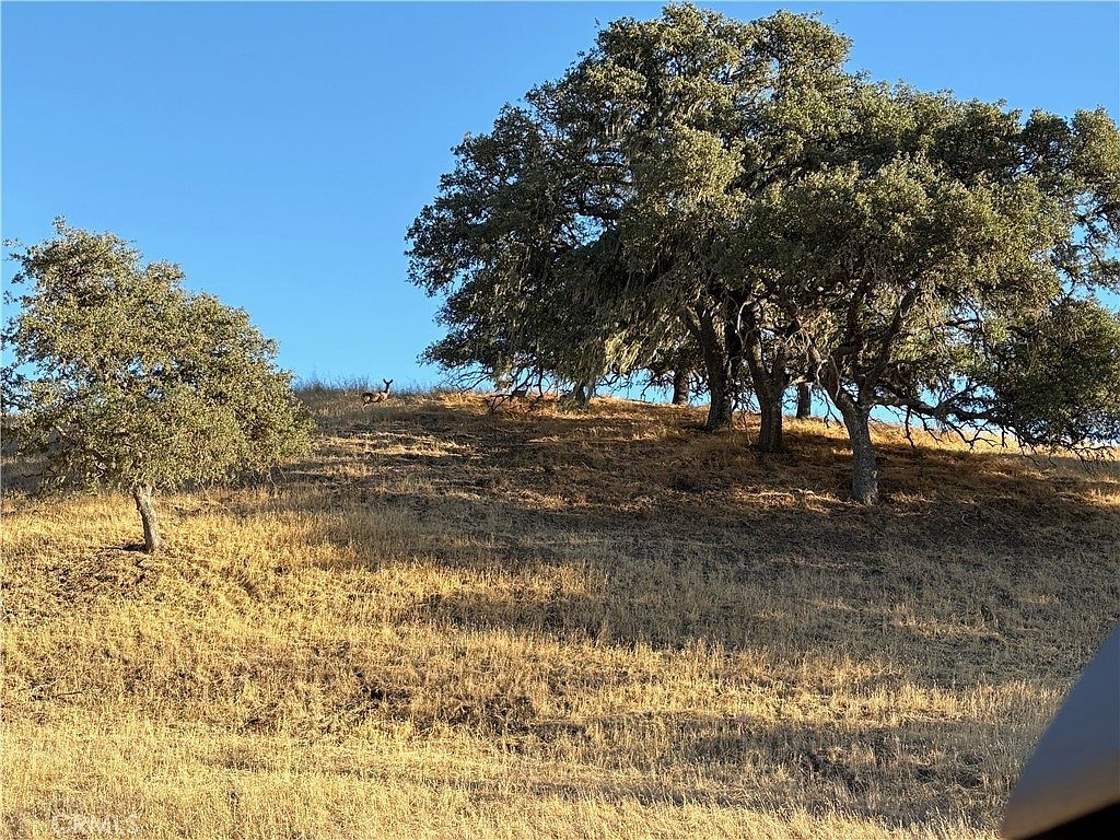 2495 Maverick Way #140 Paso Robles, CA 93446 - Thumbnail 3