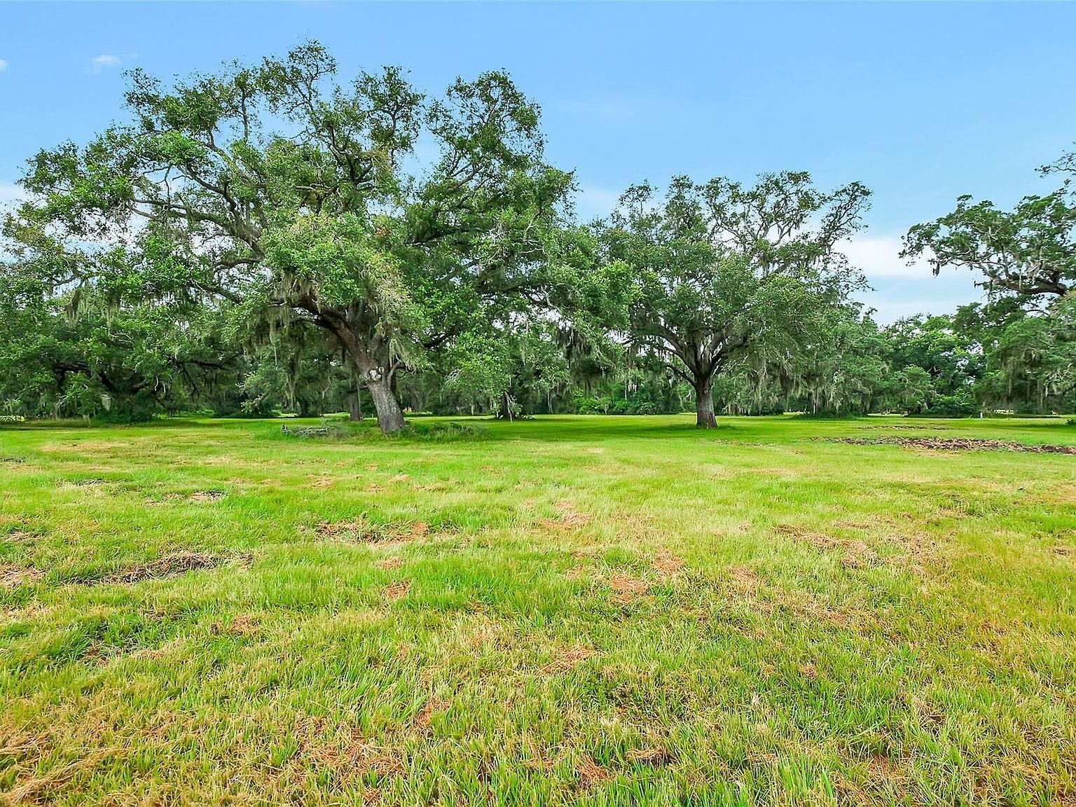 730 & 736 Rancho Chico Ct Angleton, TX 77515 - Thumbnail 3