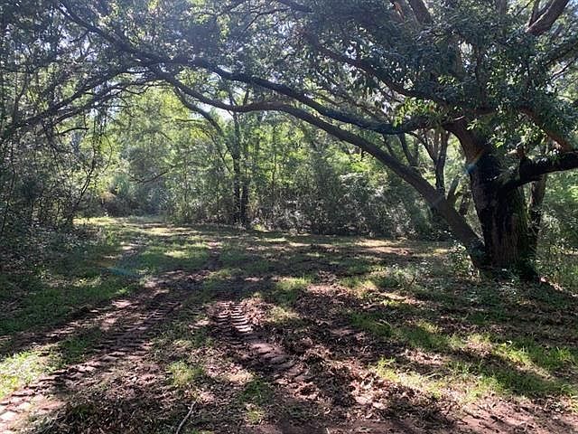 27816 Highway 435 Abita Springs, LA 70420 - Thumbnail 3