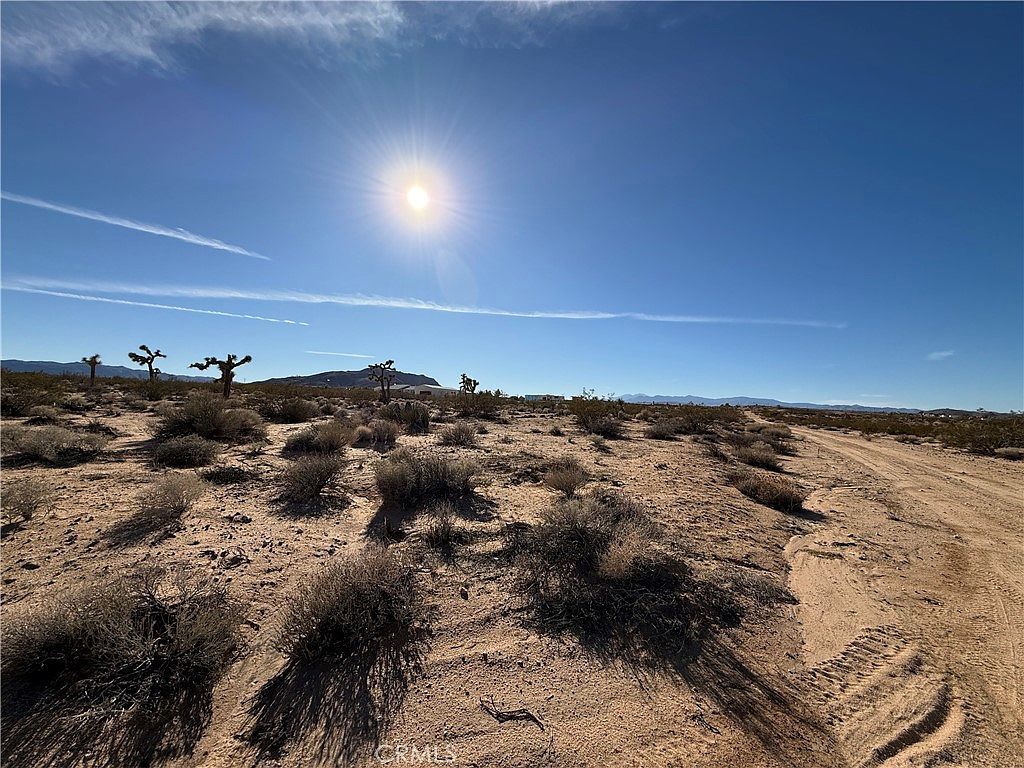 0 Manana Ave LOT 53 Joshua Tree, CA 92252 - Thumbnail 3