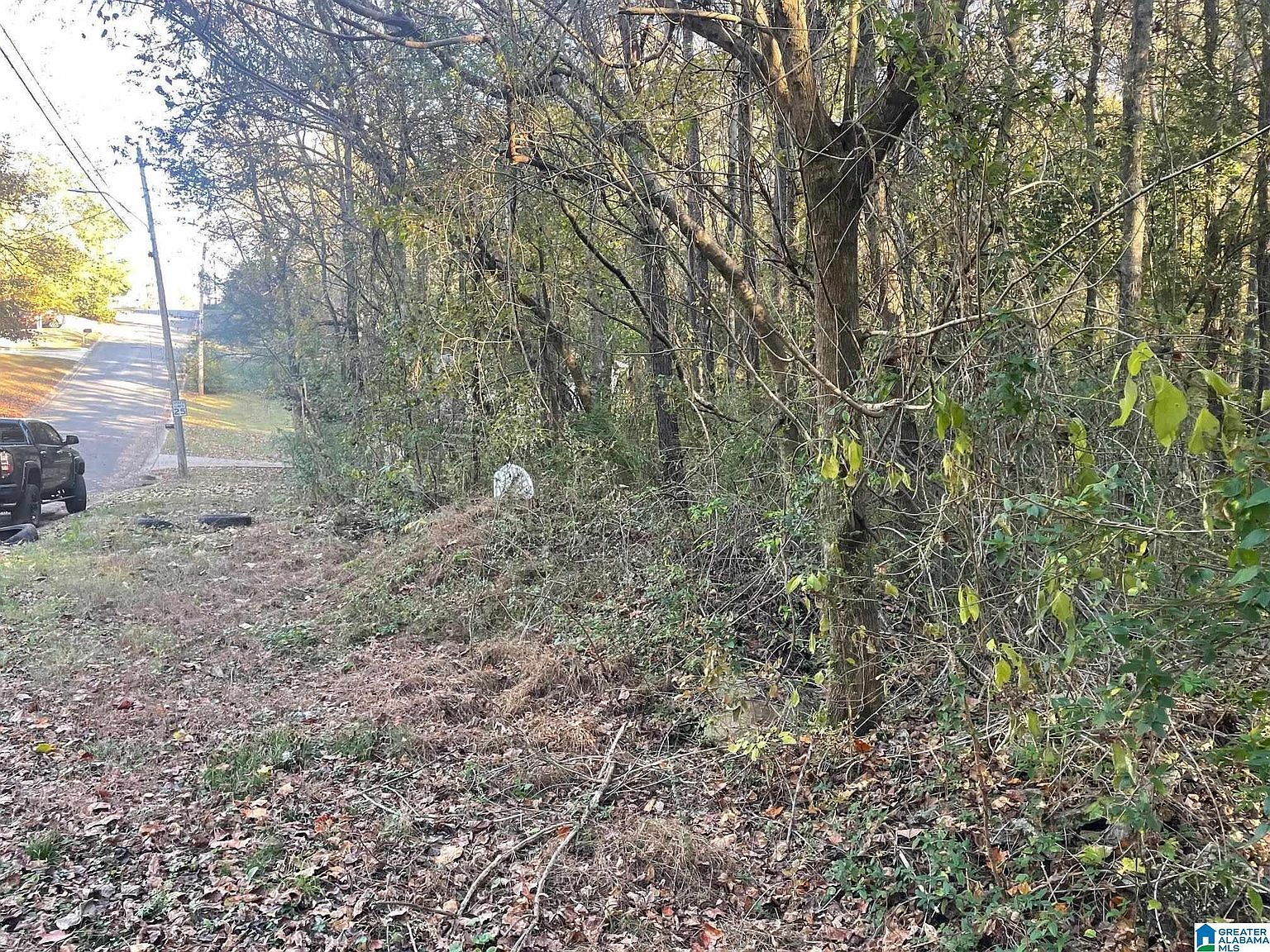 529 Foxfire Dr #8 Gardendale, AL 35071 - Thumbnail 3