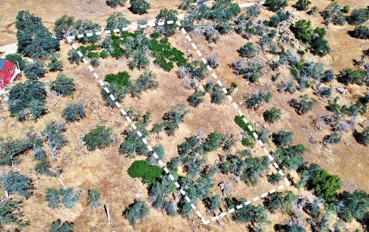 391 Sunflower Ln Squaw Valley, CA 93675 - Thumbnail 3