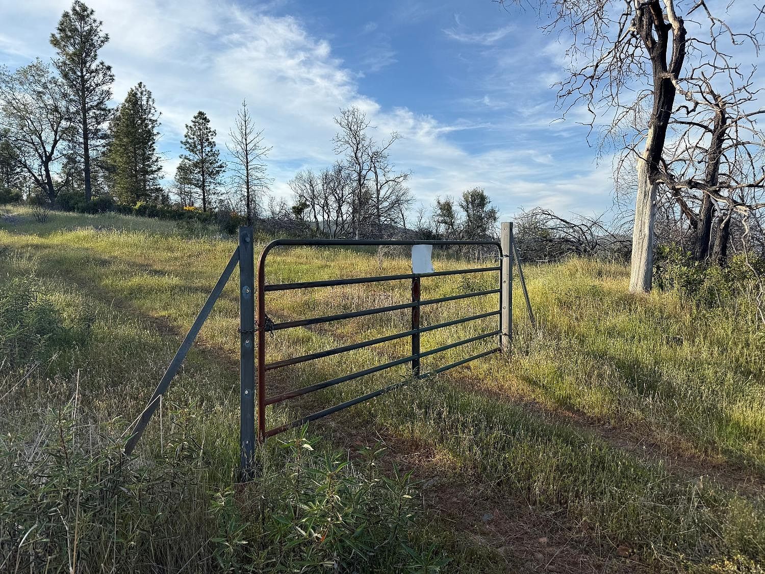 Troost Trl North San Juan, CA 95960 - Thumbnail 3